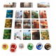 Splendor : les cités de Splendor