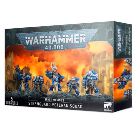 Warhammer 40,000 : Space Marines - Sternguard veteran squad
