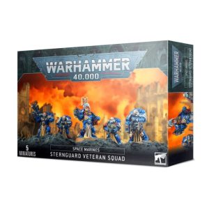 Warhammer 40,000 : Space Marines – Sternguard veteran squad