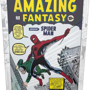 MTG BUNDLE GIFT SPIDERMAN
