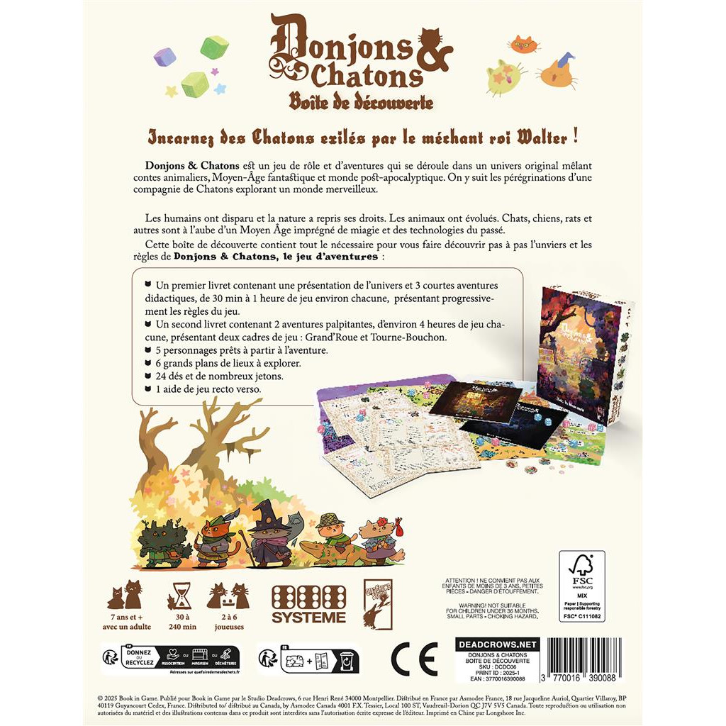 DONJON ET CHATONS JEU D'AVENTURE – Image 2