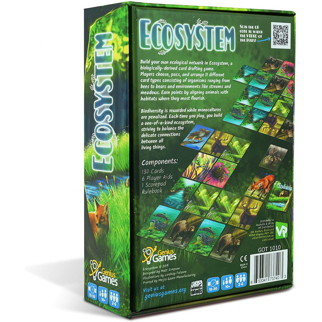 ECOSYSTEME – Image 3