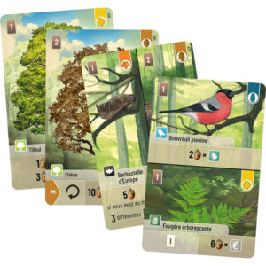 FORET MIXTE