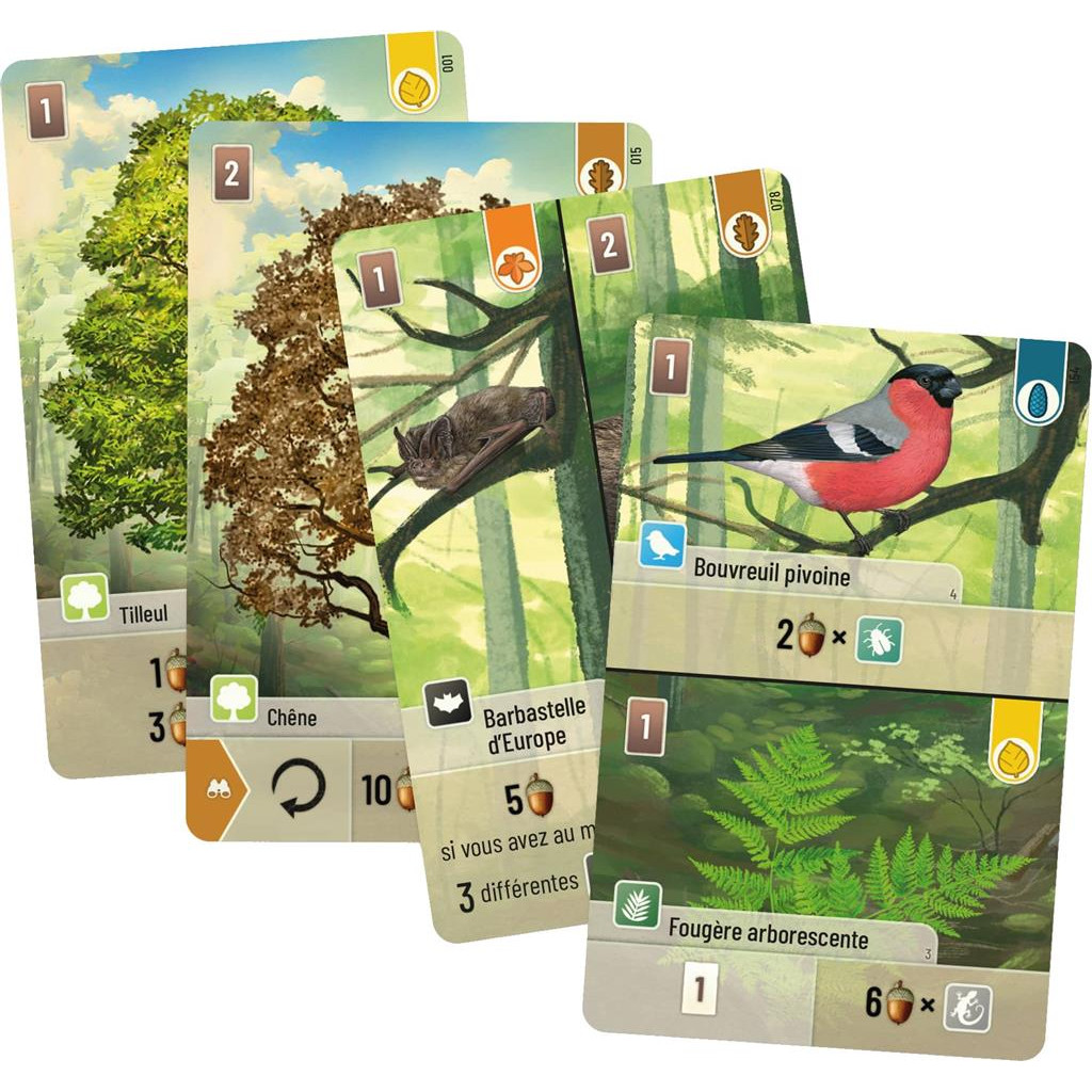 FORET MIXTE – Image 2