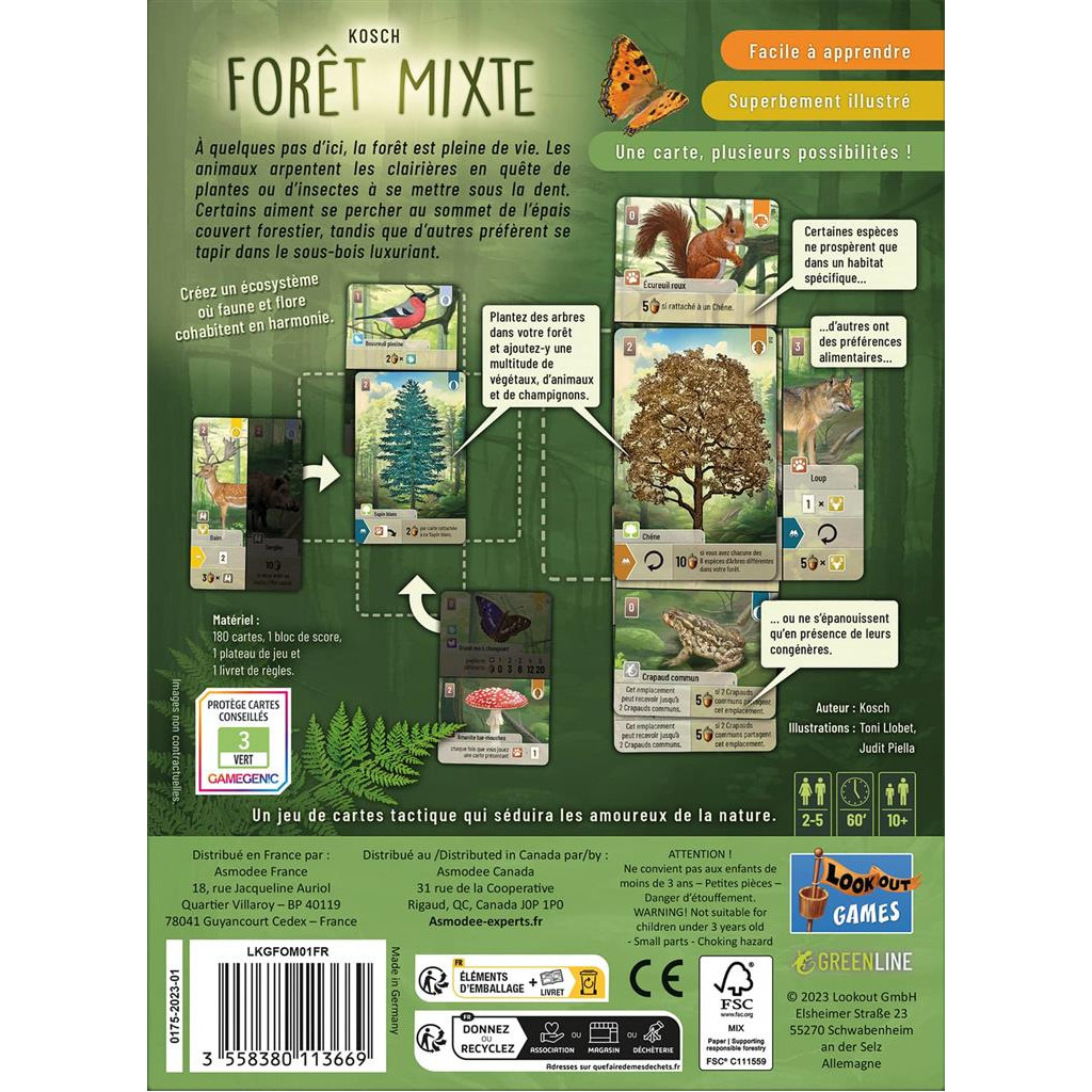 FORET MIXTE – Image 3