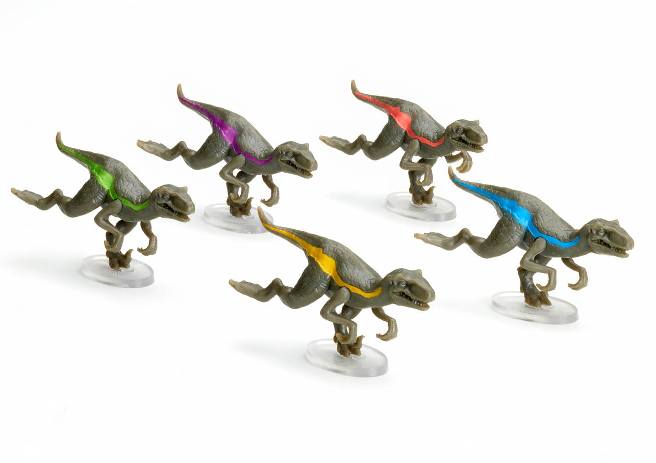 RAPTOR RACE – Image 2